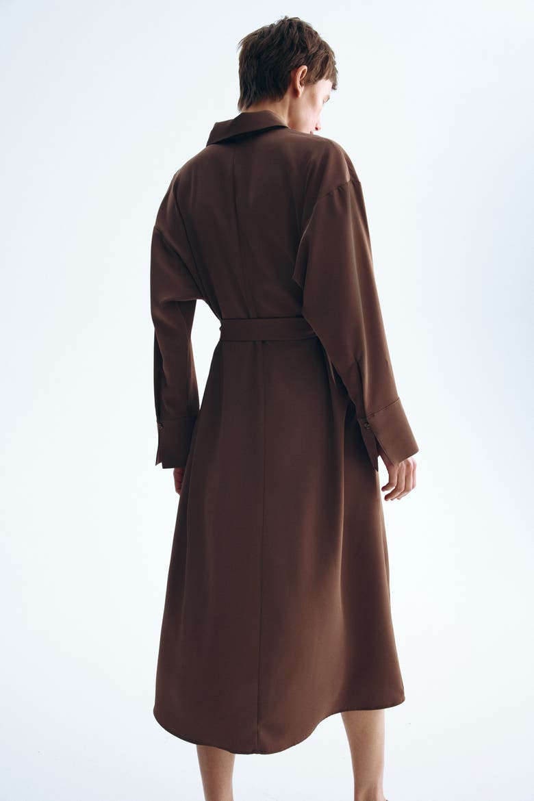 Belted Shirt Dress, Alternate, color, Brown