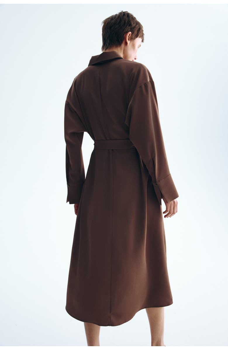 H&M Belted Shirt Dress, Alternate, color, Brown