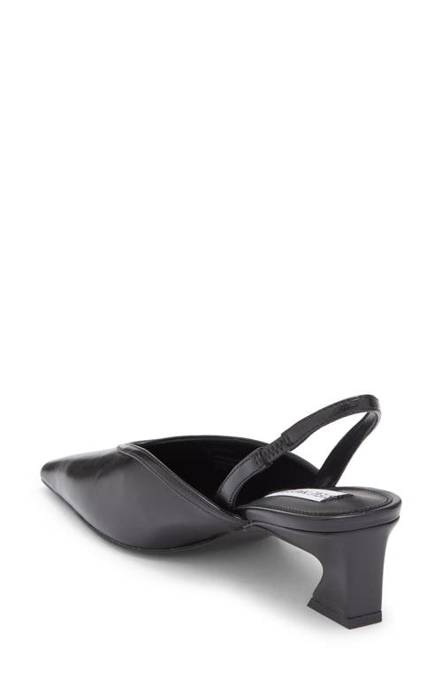 Steve Madden Haleigh Slingback Pump In Black