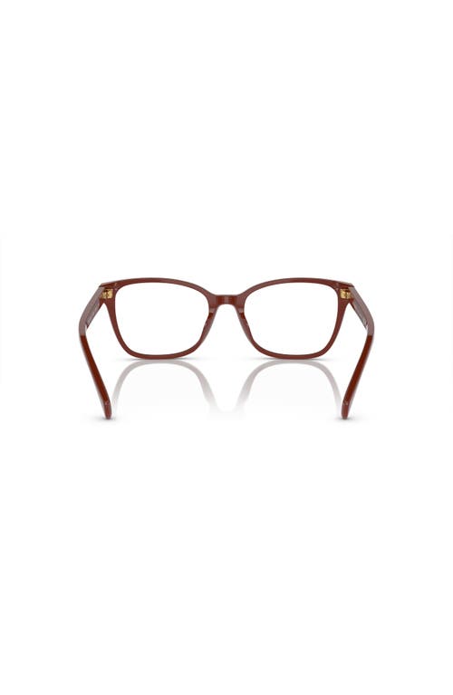 Ralph 53mm Rectangle Optical Glasses In Brown