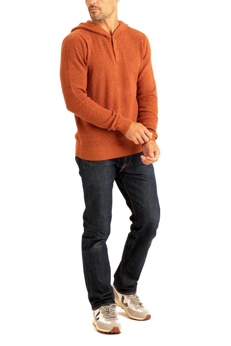 Trim Fit Waffle Knit Henley Hoodie, Alternate, color, MONARCH