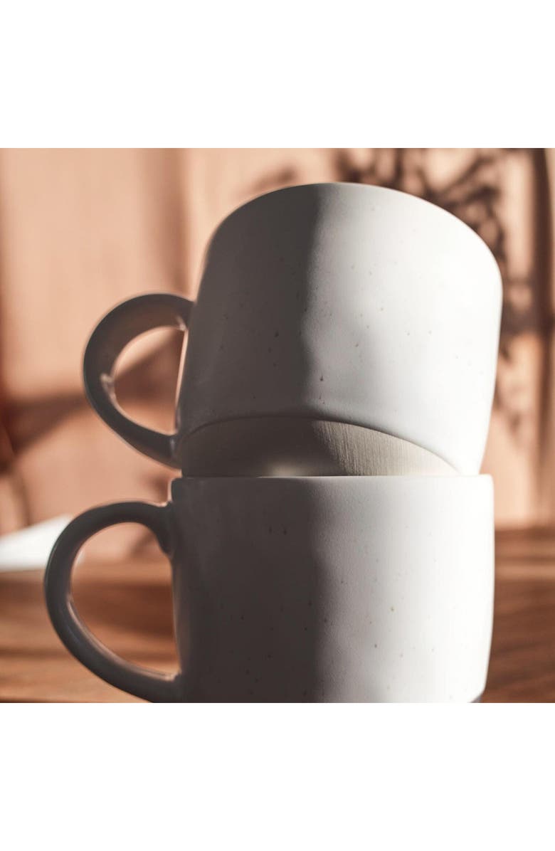 Fable The Mugs Set of 4 Mugs, Alternate, color, Speckled White