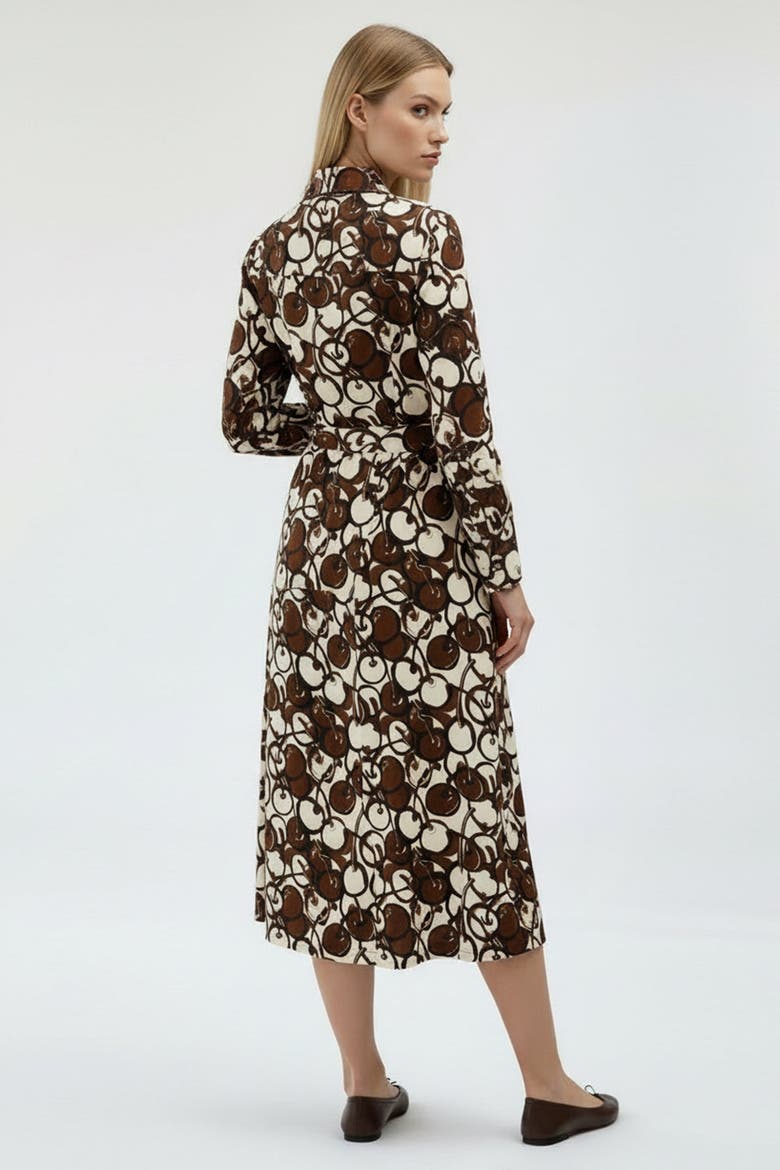 Long Sleeve Fitted Button Front Maxi Dress, Alternate, color, BROWN-BEIGE