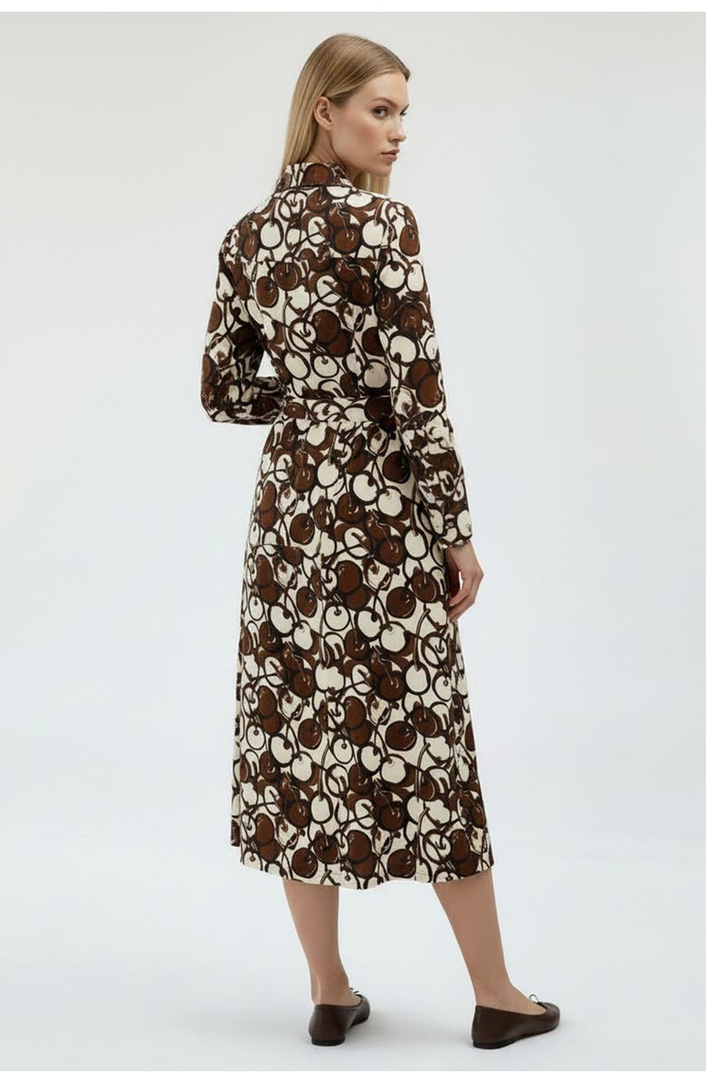 Exquise Long Sleeve Fitted Button-Front Maxi Dress, Alternate, color, Brown-Beige