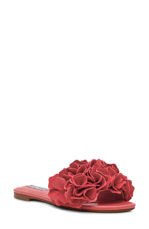 Steve Madden Flo Slide Sandal In Coral