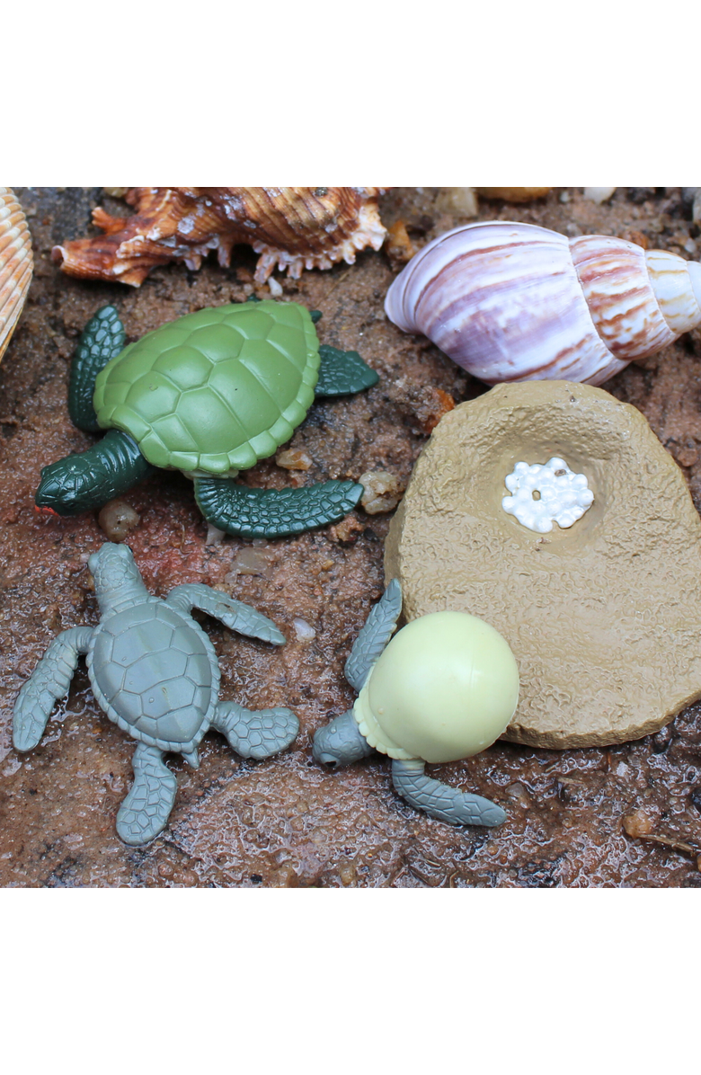 Safari Ltd. Life Cycle Of A Green Sea Turtle, Alternate, color, NO COLOR