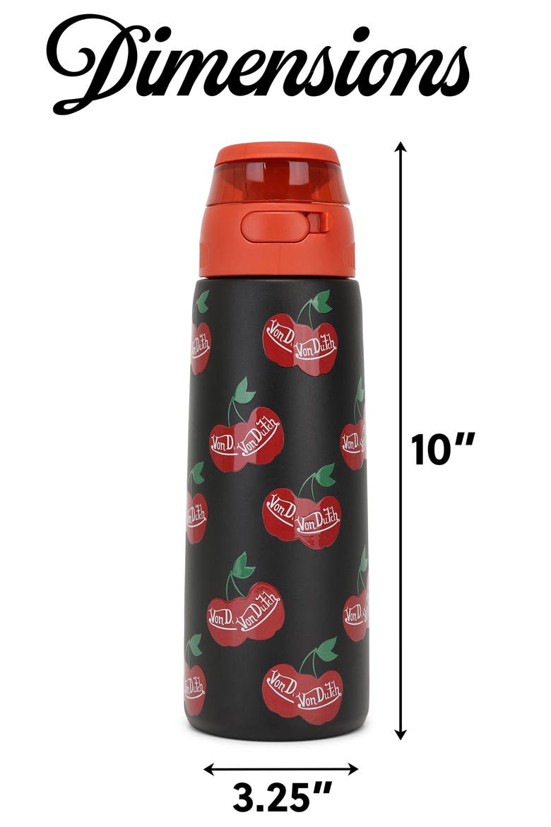 26oz Iconic Y2K Double Walled Insulated Stainless Steel Bottle, Alternate, color, Raining Cherries
