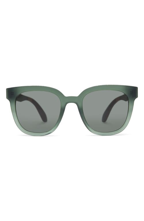 TOMS Juniper 54mm Round Sunglasses in Spruce Crystal Fade/Green 