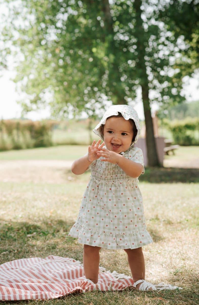 Petit Lem Strawberry Gingham Print Organic Cotton Dress & Bloomers Set, Alternate, color, Light Green