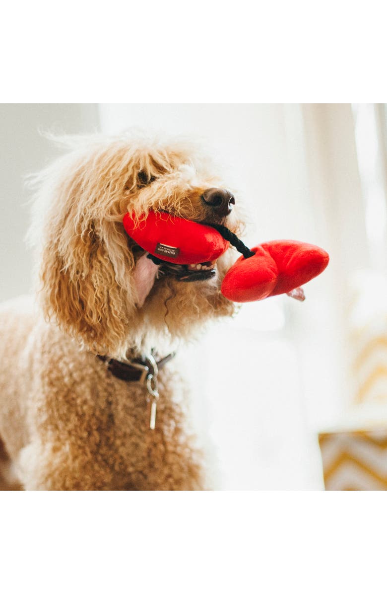 P.L.A.Y. Puppy Love, Furever Hearts Plush Toy, 2 Squeaker Hearts, Alternate, color, Red