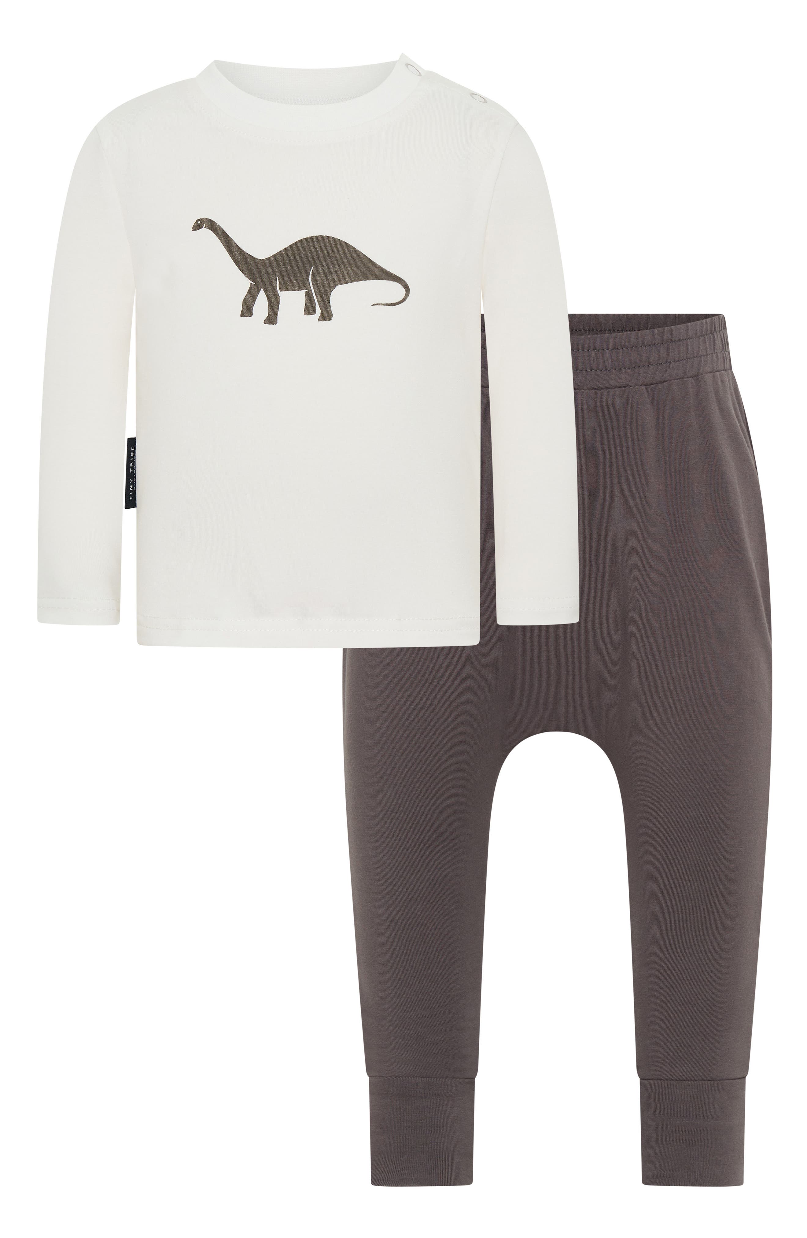 TINY TRIBE Dino Long Sleeve Cotton Graphic T-Shirt & Leggings Set