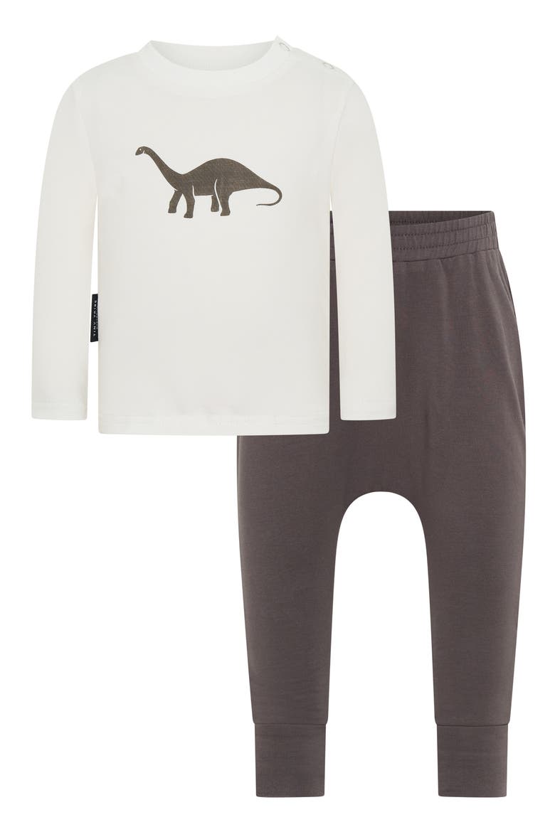 Dino Long Sleeve Cotton Graphic T-Shirt & Leggings Set, Main, color, WHITE MULTI