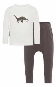 TINY TRIBE Dino Long Sleeve Cotton Graphic T-Shirt & Leggings Set