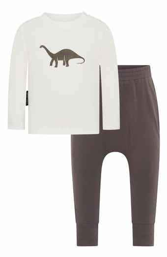 Dino Long Sleeve Cotton Graphic T-Shirt & Leggings Set