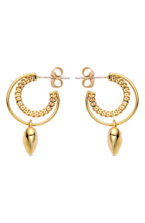 Eye Candy Los Angeles Maria Heart Drop Hoop Earrings