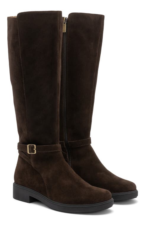 Abeo Compass Tall In Dark Brown - Regular