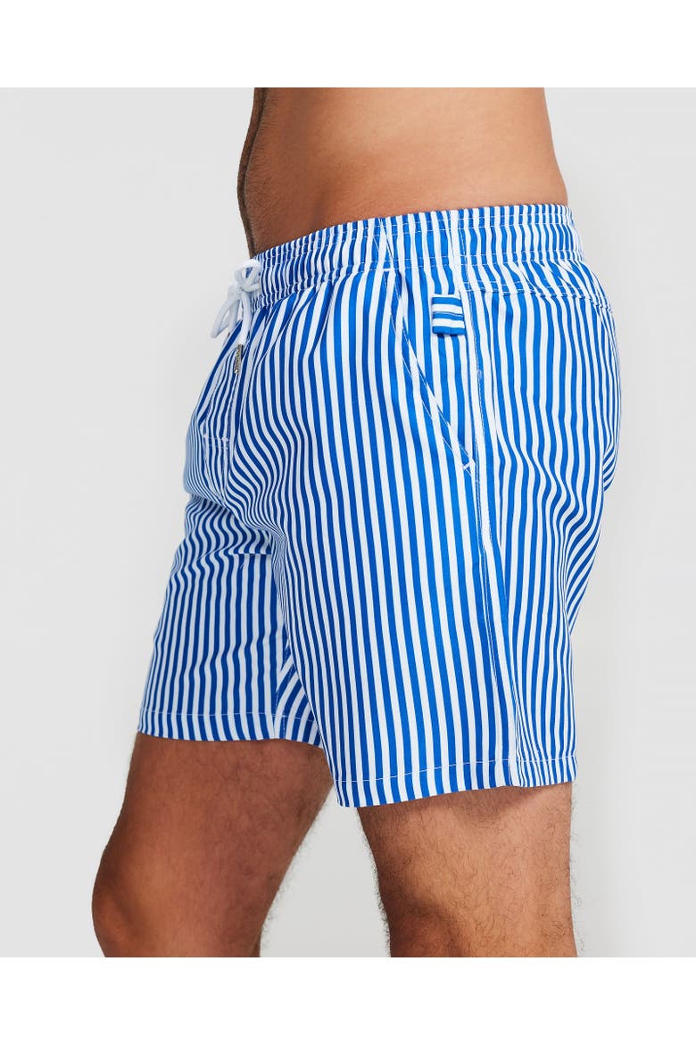 Corfu Swim Short, Alternate, color, Blue & White Pin Stripe