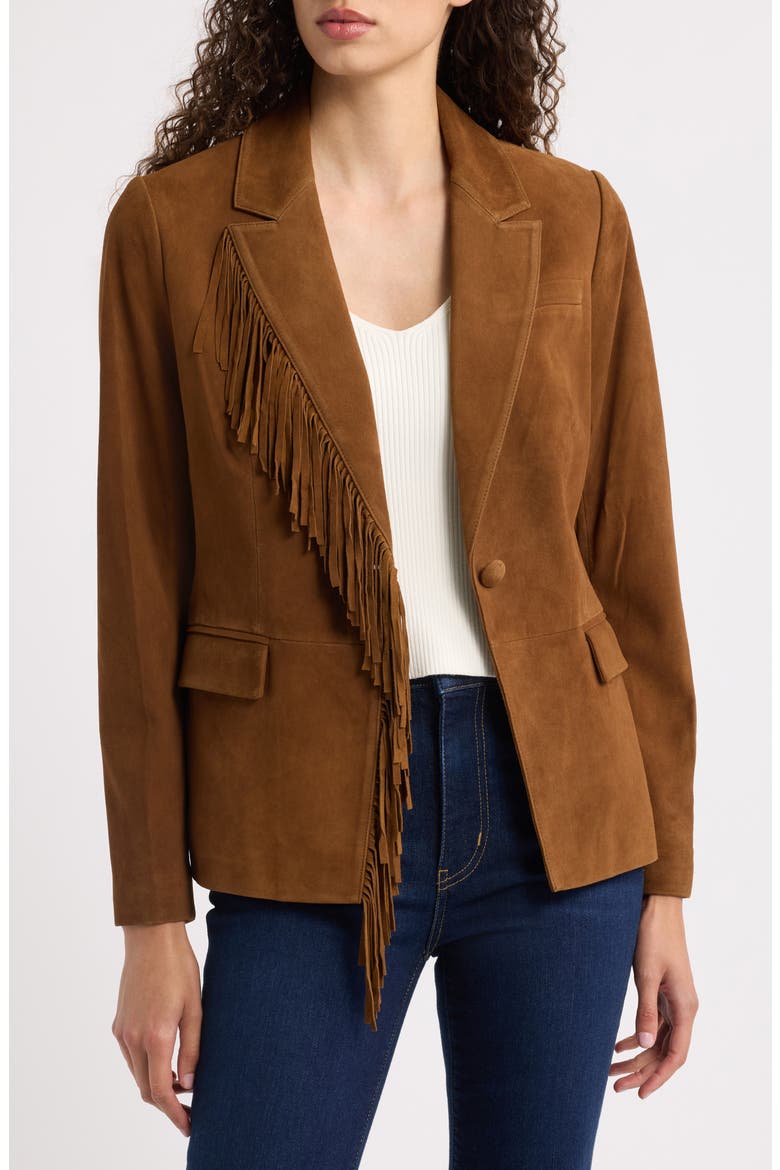 Adeline Suede Leather Fringe Jacket, Alternate, color, DARK SABLE