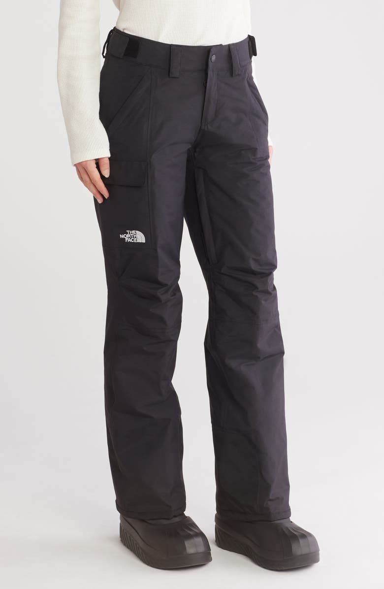 The North Face Freedom Waterproof Insulated Pants, Alternate, color, Tnf Black-Npf