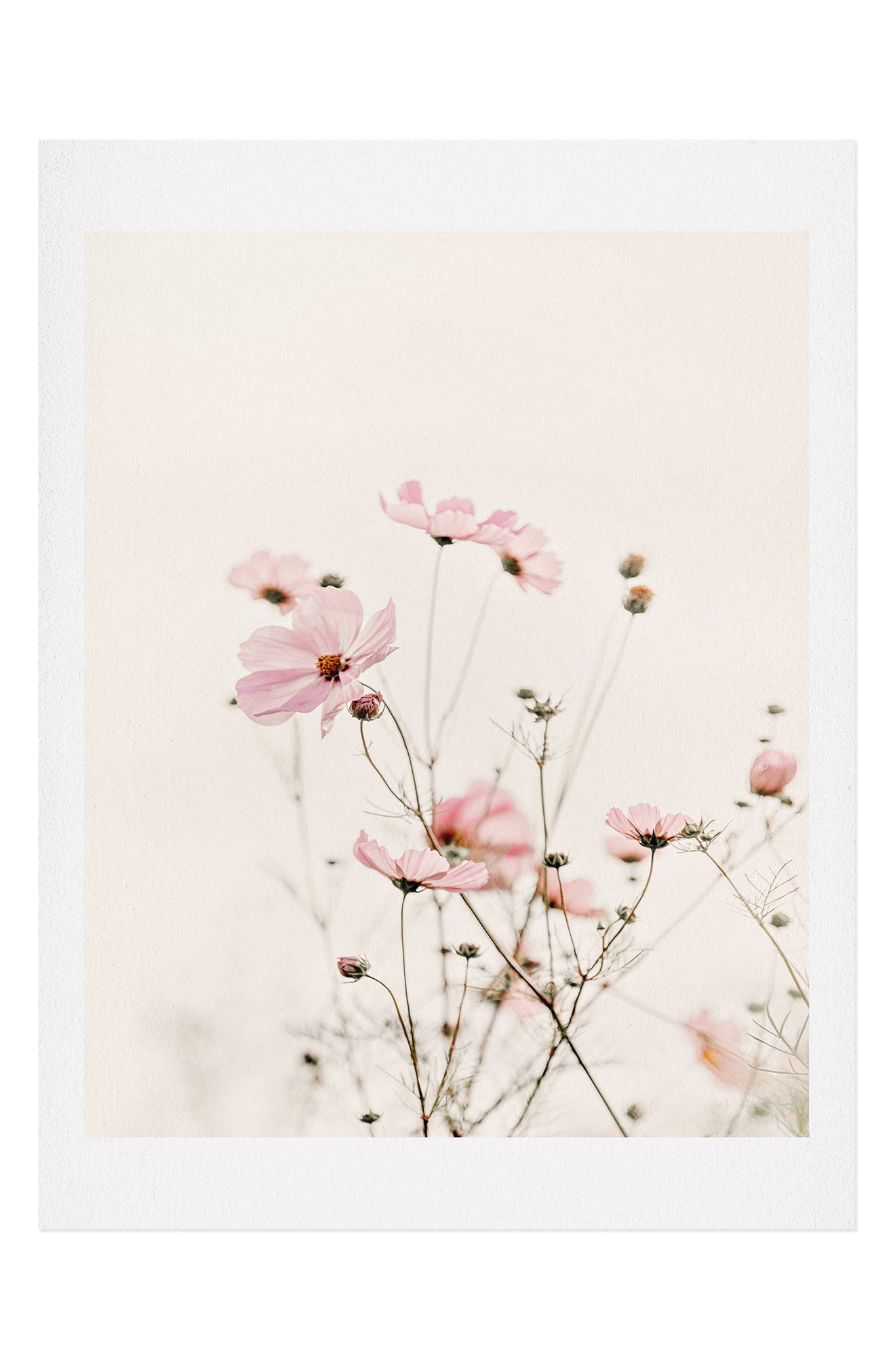 Deny Designs Monika Strigel Cosmea Dancing Art Print