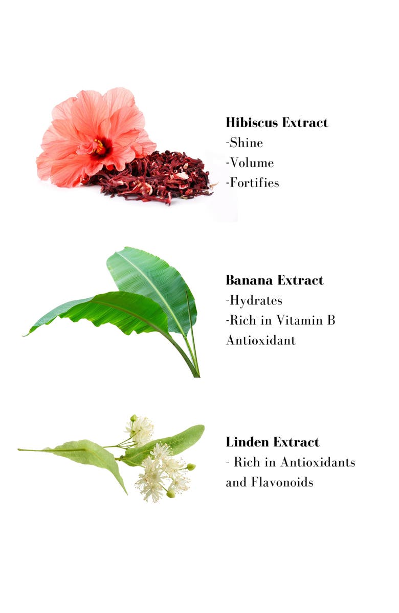 Leonor Greyl PARIS 'À la Banane' Restructuring Shampoo, Alternate, color, 