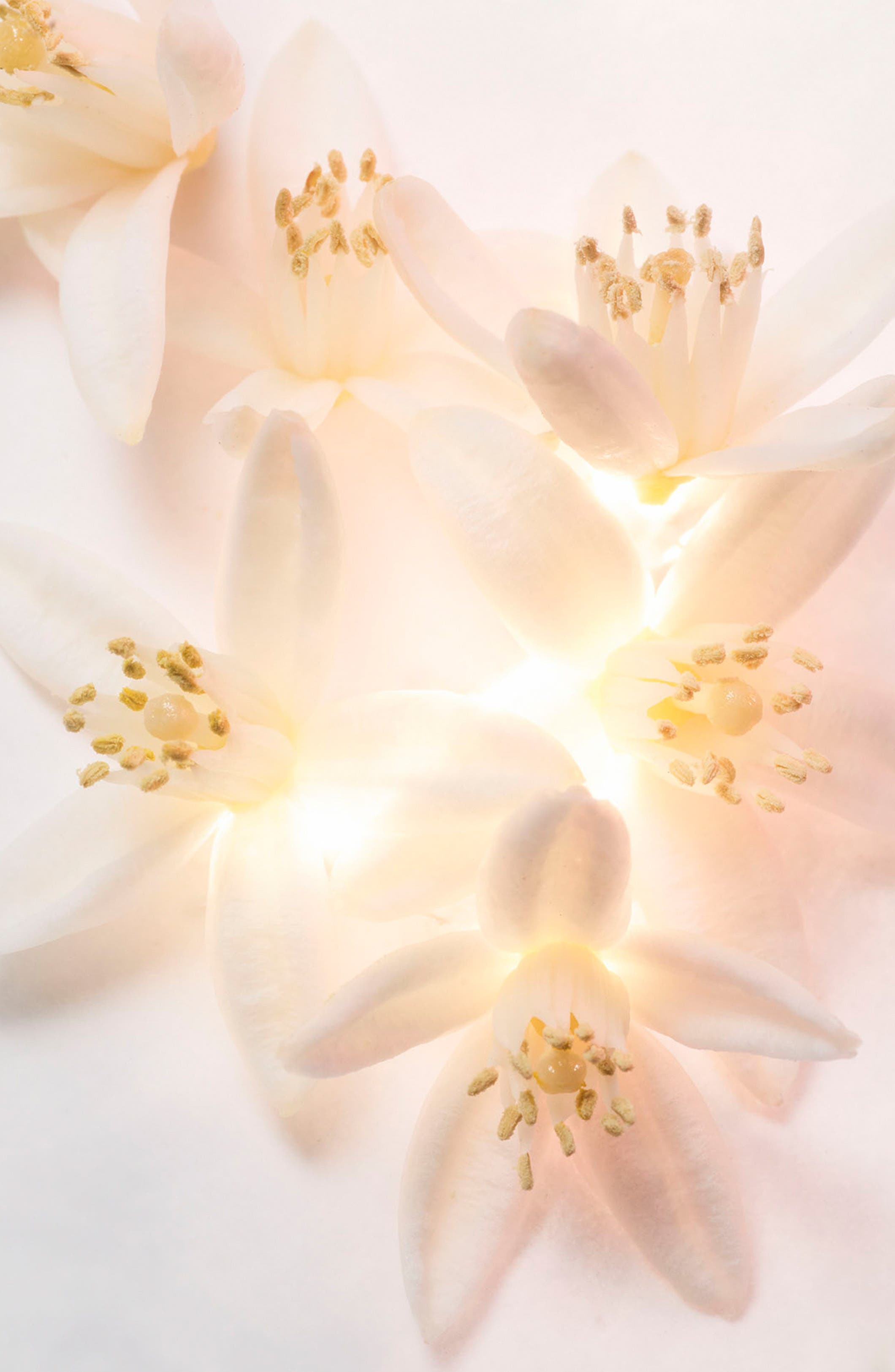 Allegra Magnifying Neroli Eau de Parfum (Women) | Nordstrom