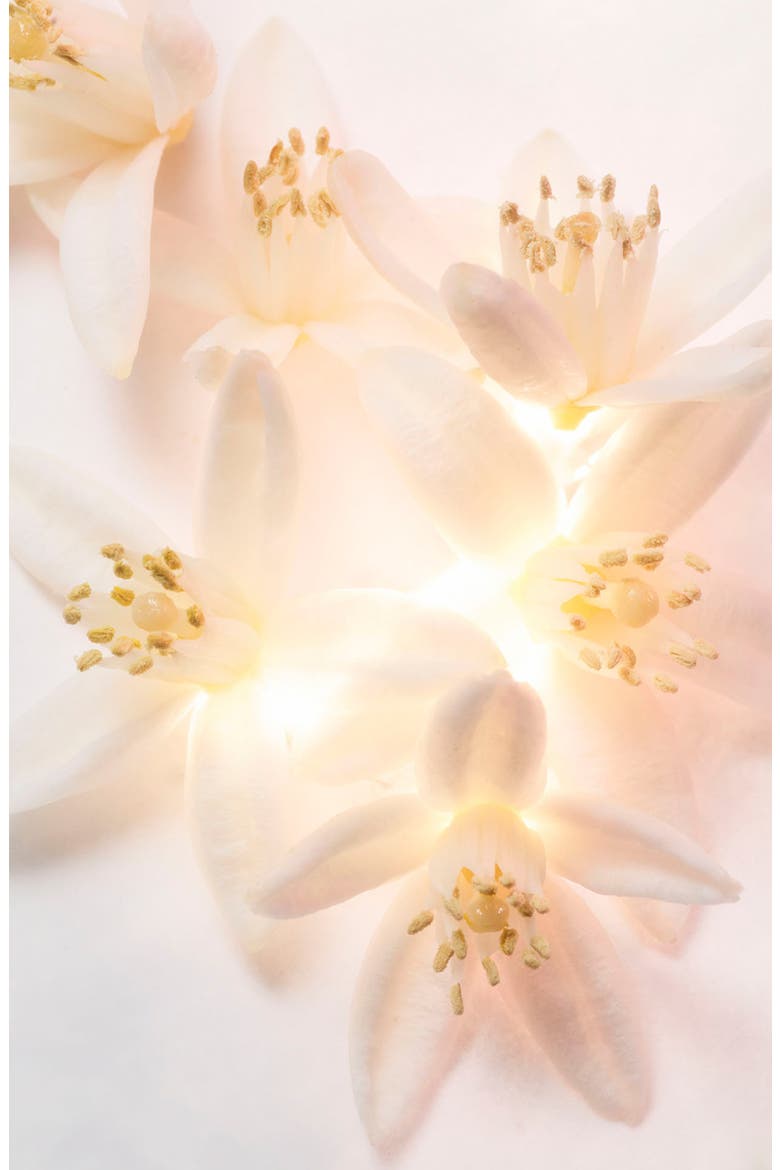 Allegra Magnifying Neroli Eau de Parfum (Women) | Nordstrom