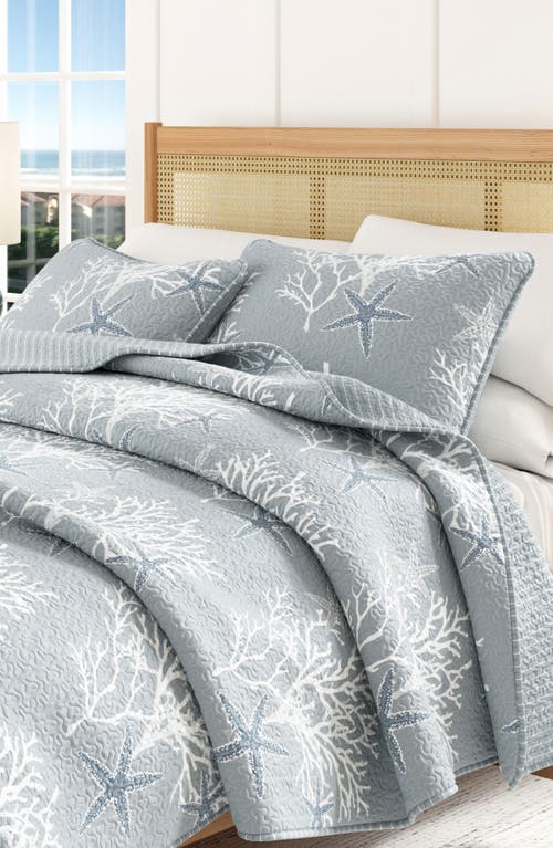 Woven & Weft Coral Starfish Reversible Microfiber Quilt Set In Blue
