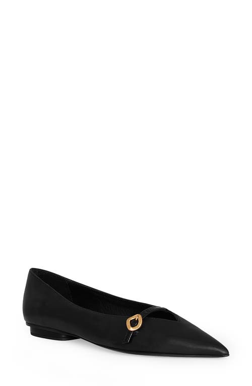 Rebecca Minkoff Pointed Toe Buckle Flat In Multi