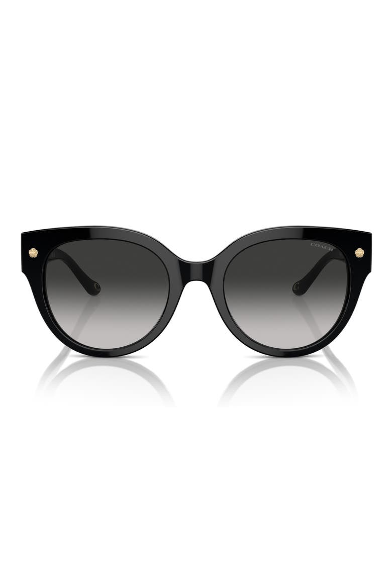 53mm Gradient Round Sunglasses, Alternate, color, BLACK
