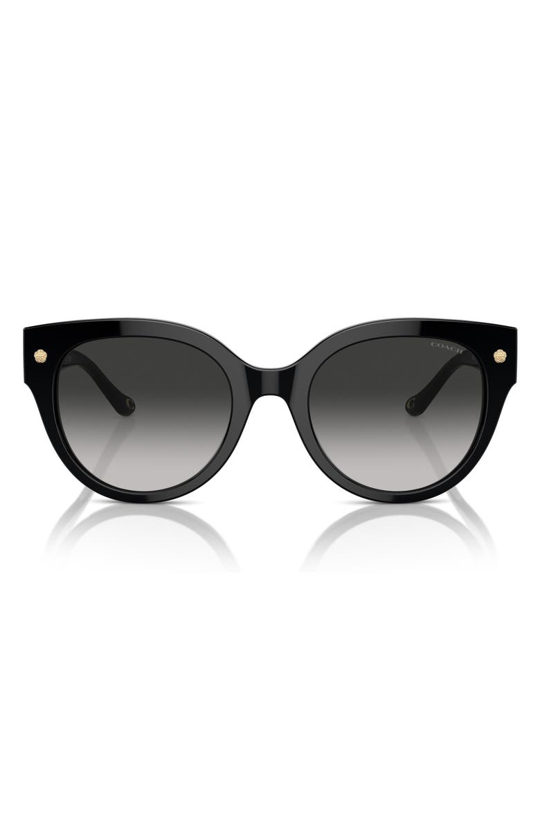 COACH 53mm Gradient Round Sunglasses, Alternate, color, Black
