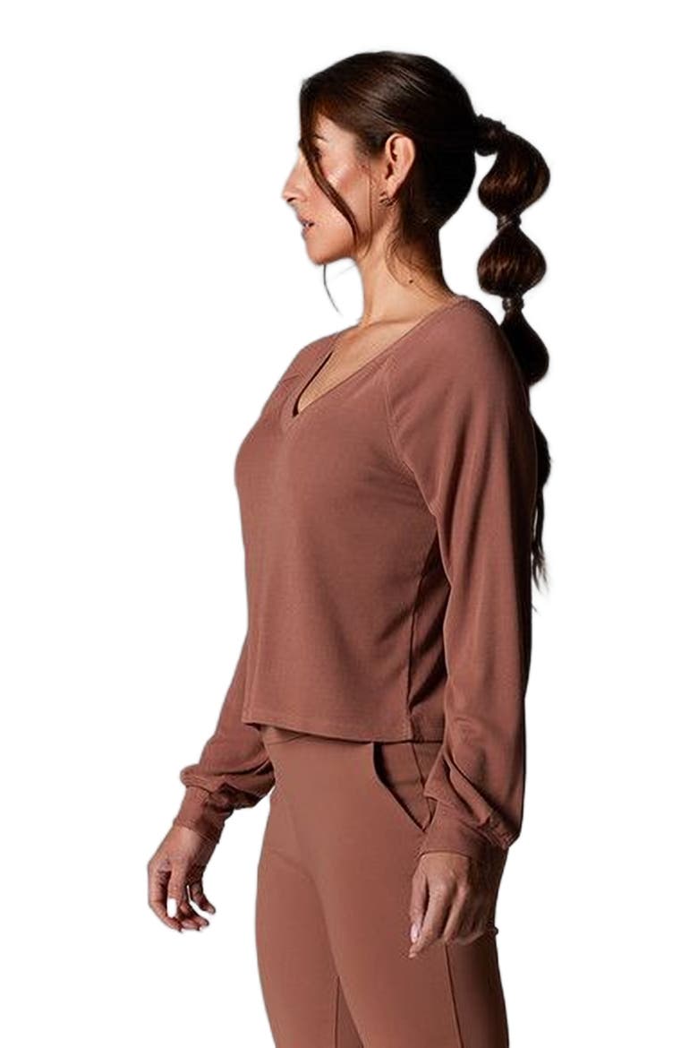 Rib Long Sleeve, Alternate, color, CLOVE