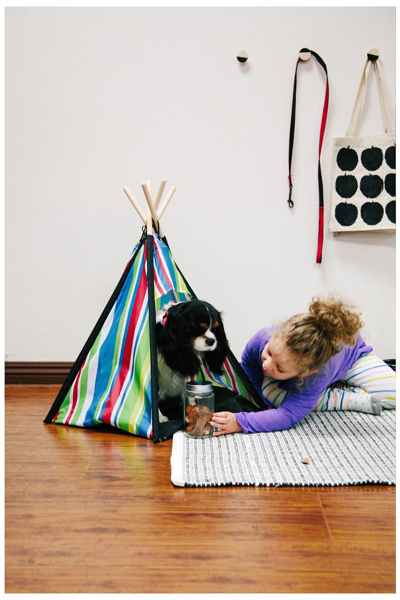 Stripe Pet Tent, Alternate, color, RED BLUE YELLOW GREEN