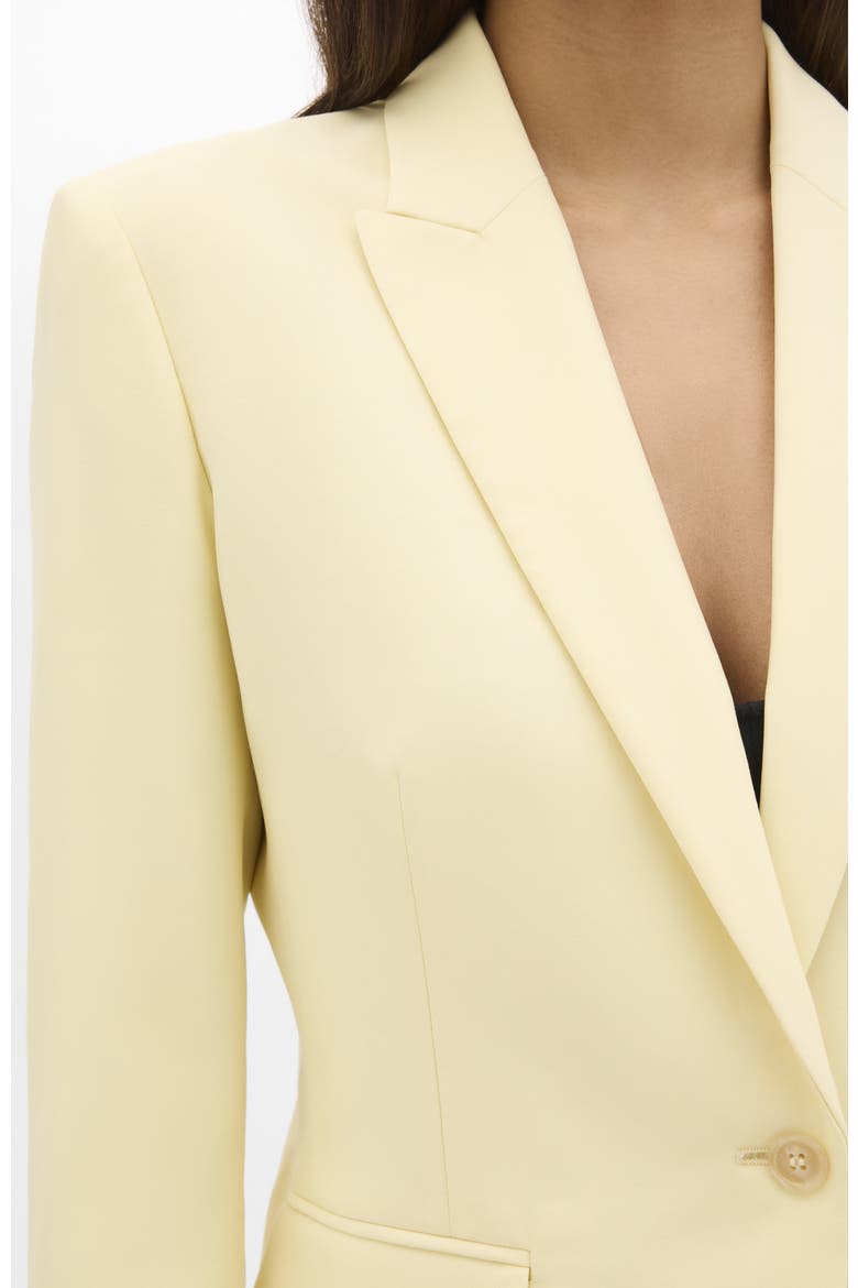 Single Button Jacket, Alternate, color, Sunlight