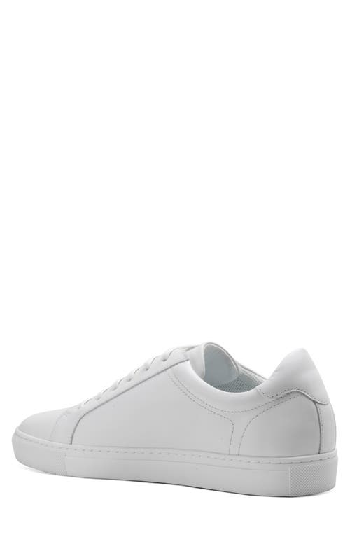 Blake Mckay Jay Low Top Sneaker