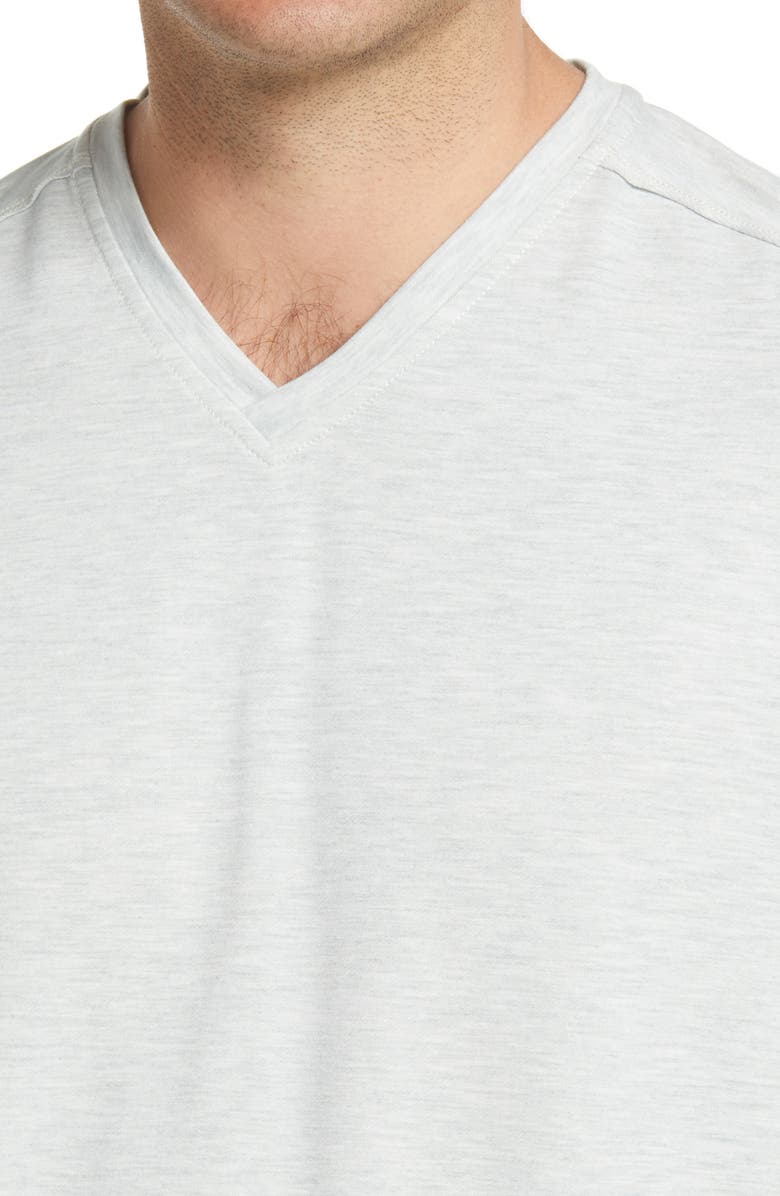 Tommy Bahama Costa Vera V-Neck T-Shirt, Alternate, color, 