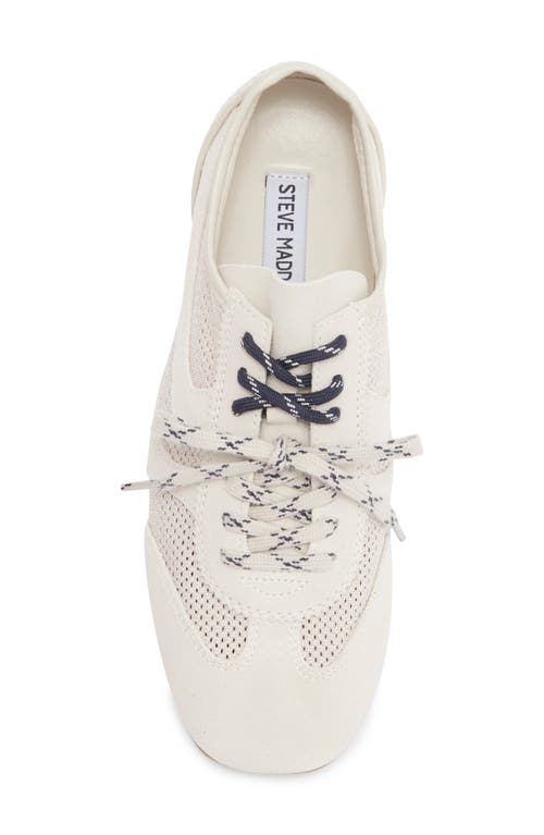 Steve Madden Denverr Sneaker In Neutral