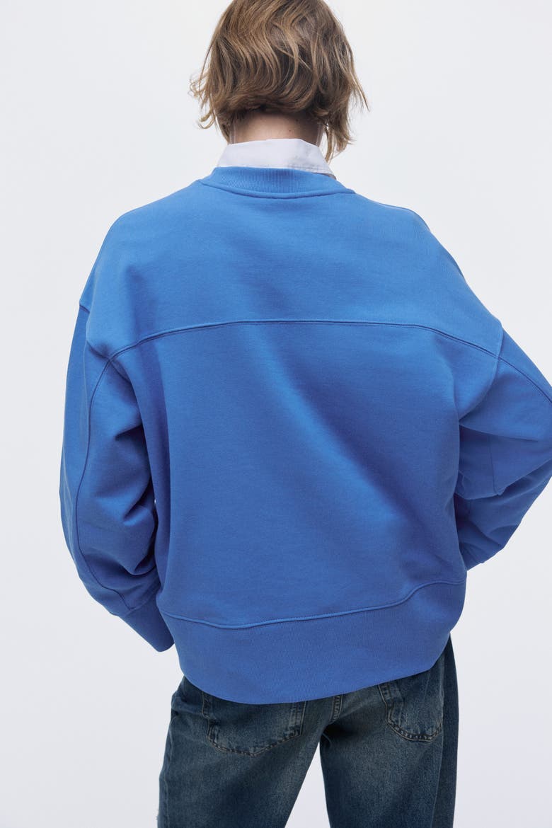 Oversized Cotton Sweatshirt, Alternate, color, Blue