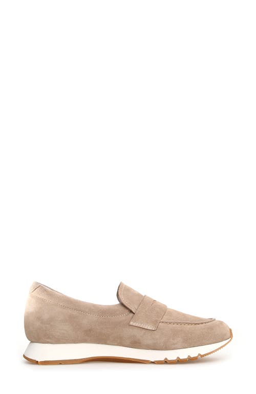 Voile Blanche Julia Hybrid Loafer Sneaker In Light Beige