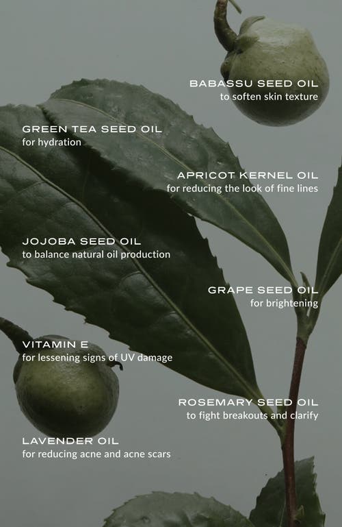 Wylys Phyto Green Cleansing Balm & Jade Spatula