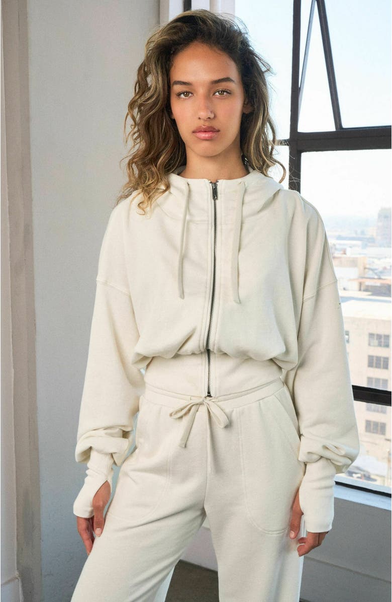 Vitality Remedy Carpenter Pant, Alternate, color, Bone Washed