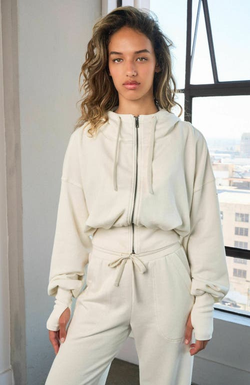 Vitality Remedy Carpenter Pant In Neutral