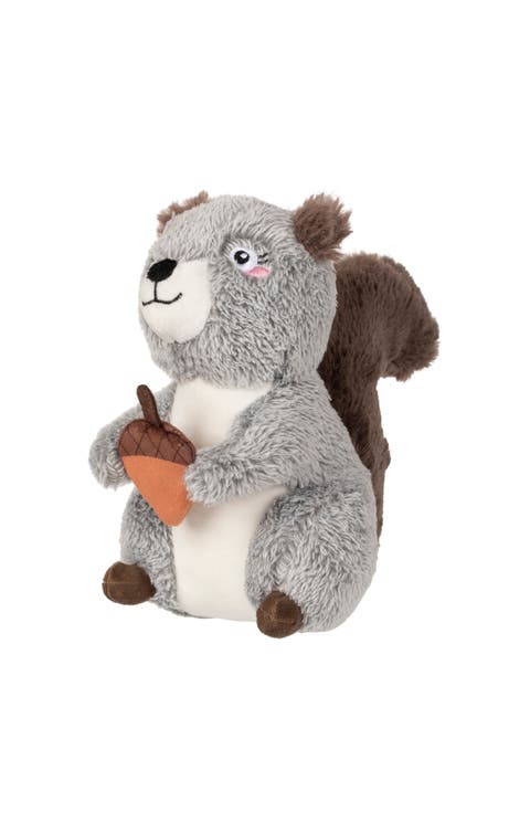 Squirrelly Fun Pet Toy