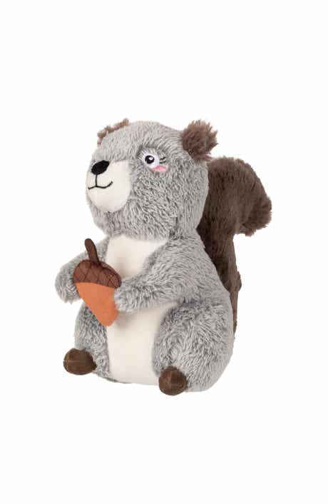 Squirrelly Fun Pet Toy