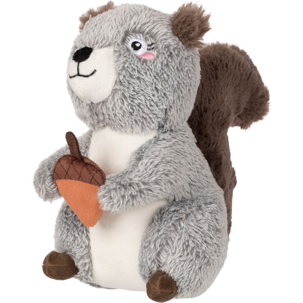 Fringe Studio Squirrelly Fun Pet Toy