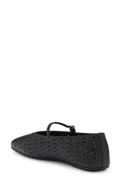 Jeffrey Campbell Khloe Perforated Square Toe Flat In Black