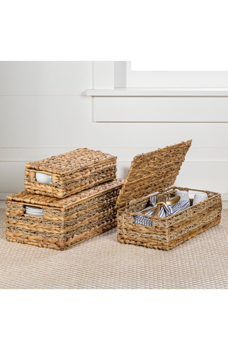 HAPPIMESS Sandrine Classic Farmhouse Handwoven Hyacinth Storage Baskets with Handles and Lids,, Main, color, Natural