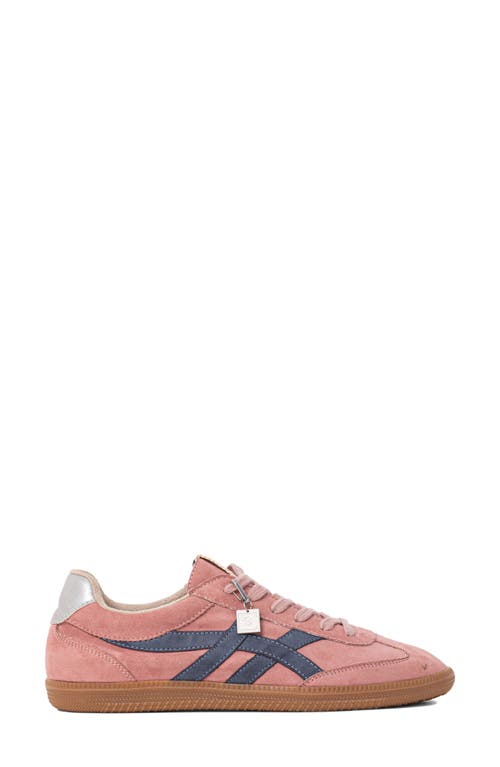 Shushop Sasha Sneaker In Pink