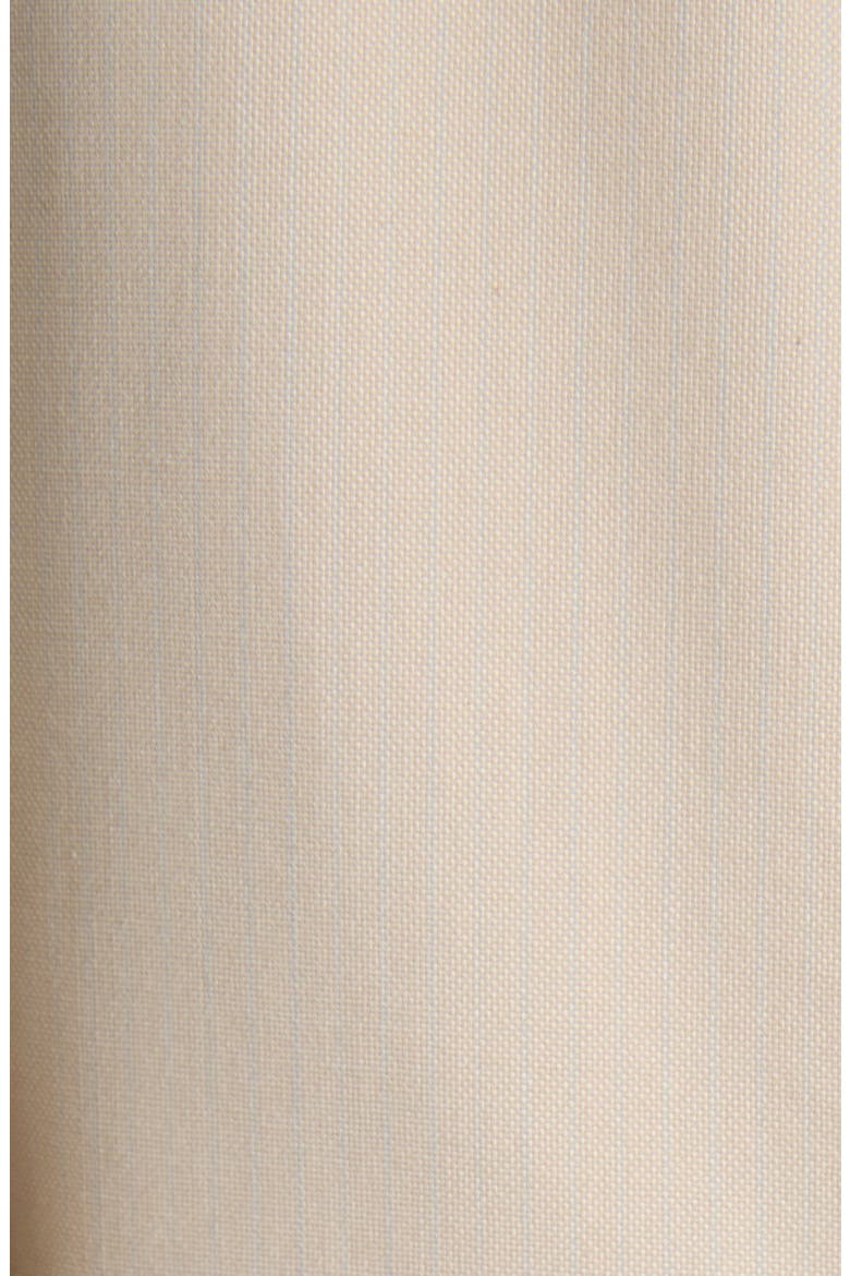 Woven Cotton Trench Coat, Alternate, color, 2512 BEIGE/ LIGHT BLUE