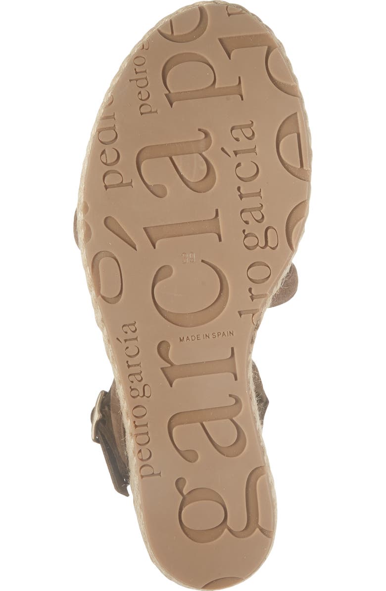 Pedro Garcia Aridai Platform Wedge Sandal, Alternate, color, Chocolat Castoro